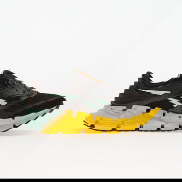 Tenisky a topánky Reebok Floatzig 2 Rôznofarebný | 100225501, 2