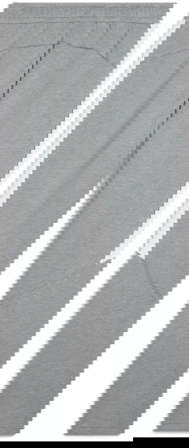 Tepláky Puma Puma teamEVOSTRIPE Pants Šedá | 659948-33, 1
