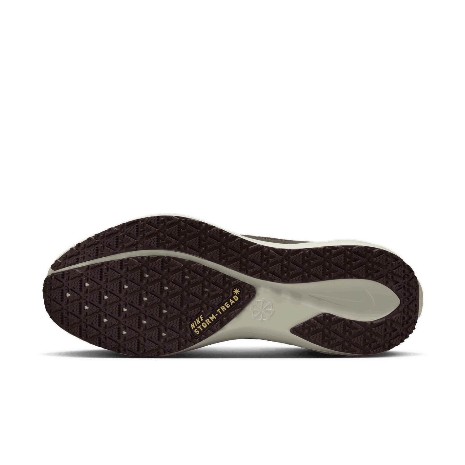 Tenisky a topánky Nike Pegasus 41 GORE-TEX Šedá | FQ1356-003, 1