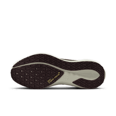 Tenisky a topánky Nike Pegasus 41 GORE-TEX Šedá | FQ1356-003, 1
