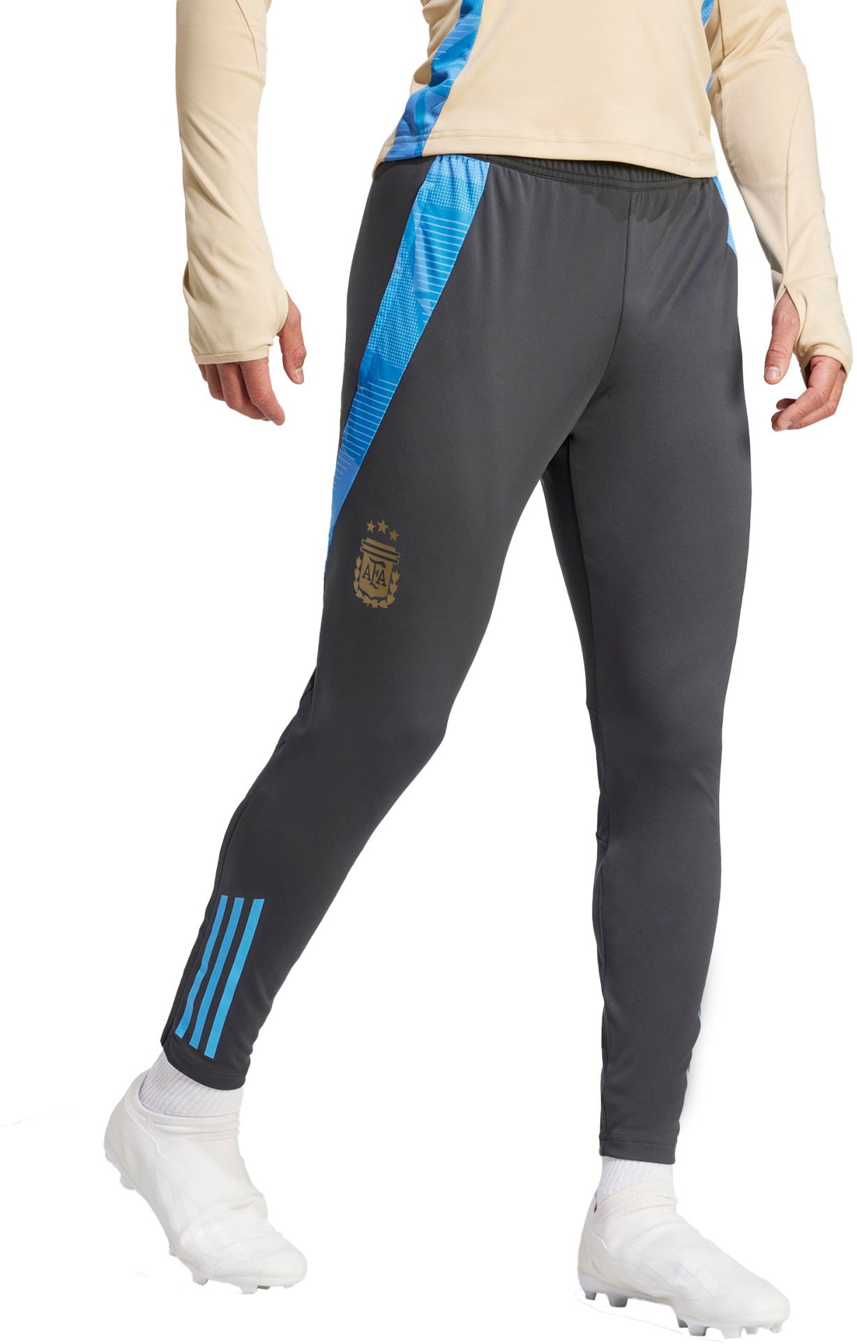Nohavice adidas Originals AFA TR PNT 2024 Šedá | iq0824, 0