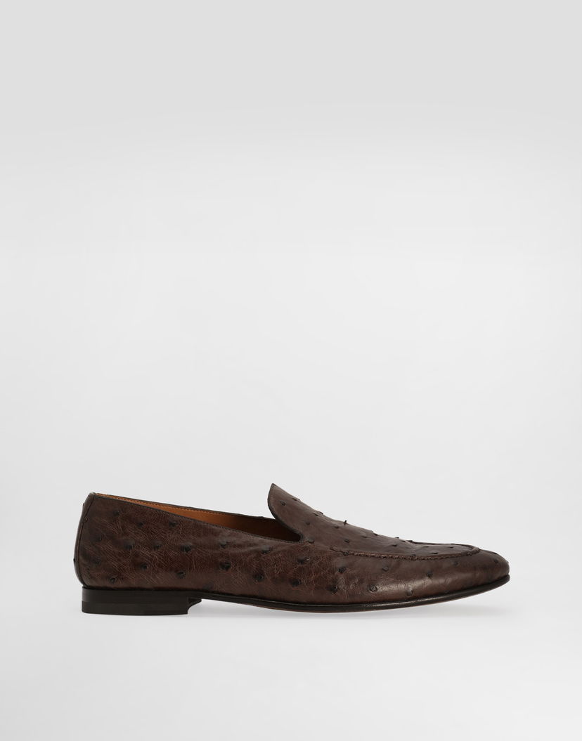 Doplnky Dolce & Gabbana Dolce & Gabbana Ostrich Leather Loafers Hnedá | A50716AE43680178