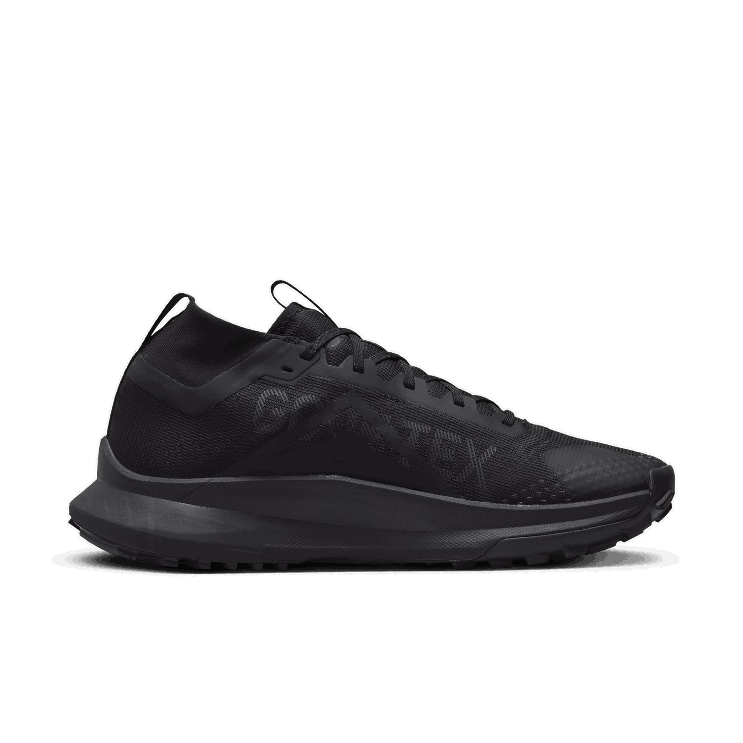 Tenisky a topánky Nike Pegasus Trail 4 GORE-TEX Čierna | DJ7926-008, 1