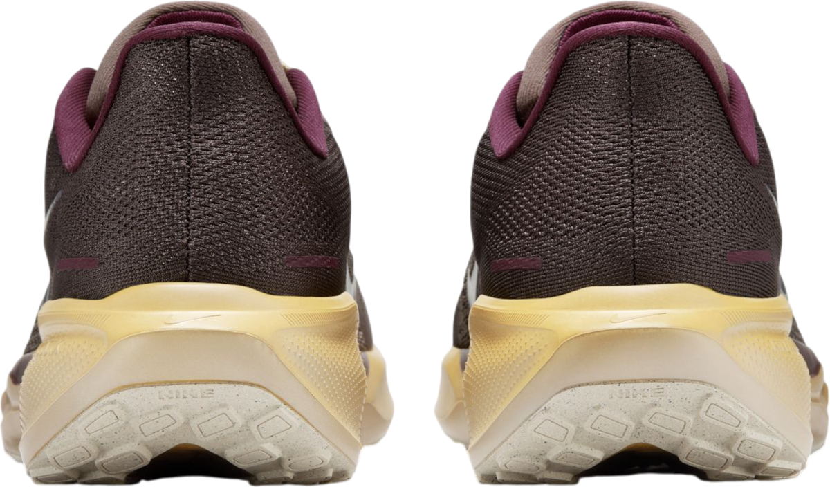 Tenisky a topánky Nike Pegasus 41 Premium Hnedá | hv4327-299, 1