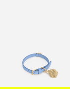 Dog Collar With Pendant