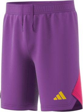 Šortky adidas Originals T23 P GK SHO Basketball Shorts Fialová | hk7681, 0