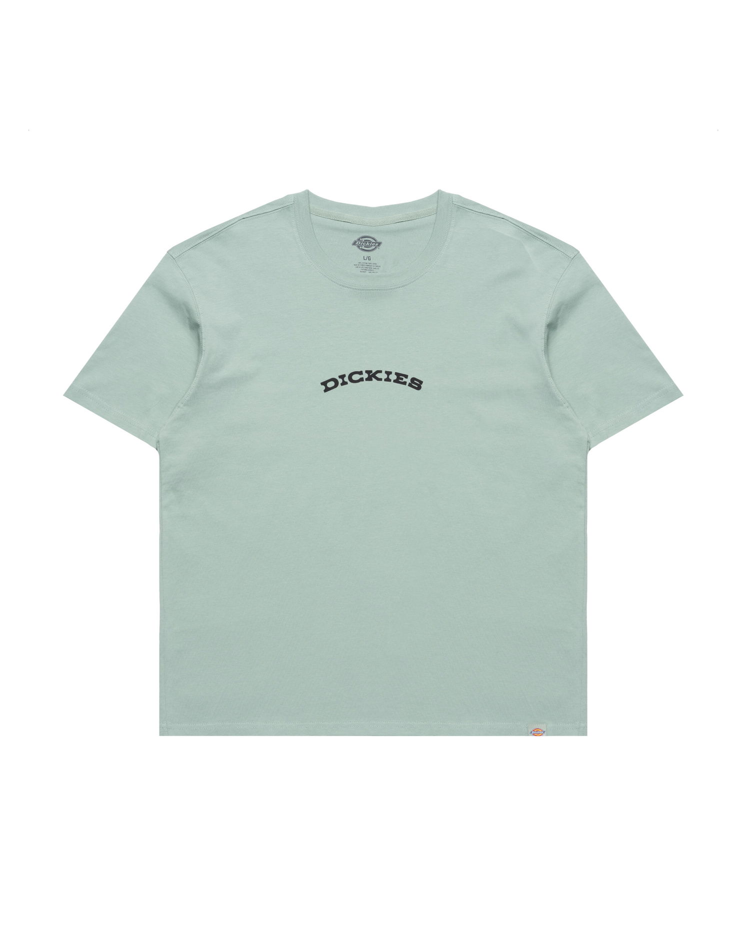 Tričko Dickies Dickies Outdoor T-Shirt Zelené | DK0A4Z8PK361, 0