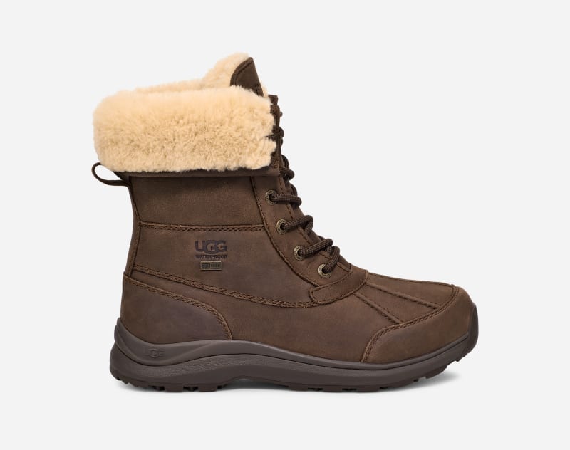 Tenisky a topánky UGG Adirondack Boot lll Distressed Boot Hnedá | 1158511-BCDR