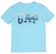 T-Shirt Dinosaur Landscape Graphic