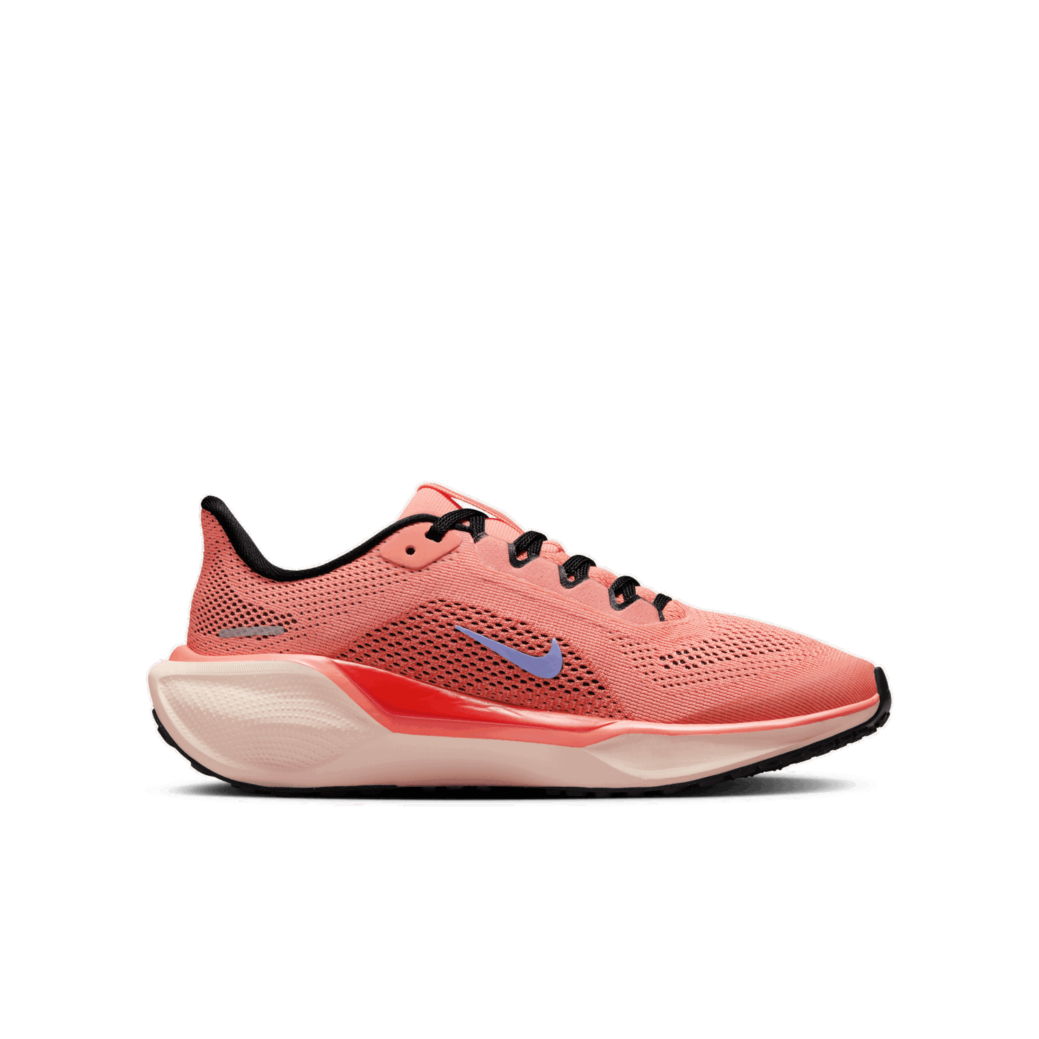 Tenisky a topánky Nike Pegasus 41 Ružová | FN5041-600, 1