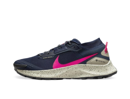 Bežecké topánky Nike Pegasus Trail 3 GTX Waterproof Navy | DC8793-401