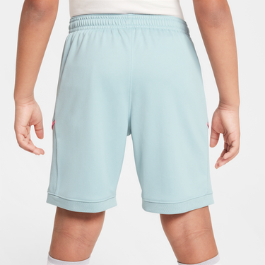 Šortky Nike Dri-FIT Academy Shorts Tyrkysová | HJ3718-395, 1