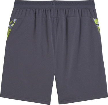 Šortky Puma individualCUP Athletic Shorts Šedá | 659897-08, 2