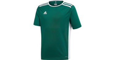 Dres adidas Originals Entrada 18 Jersey Zelené | ce9563, 1