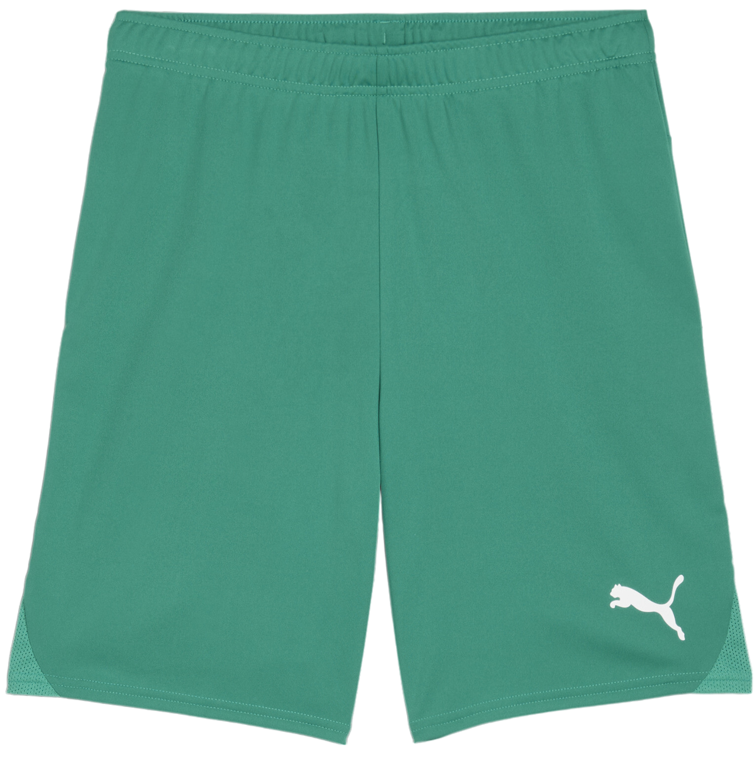 Šortky Puma teamGOAL Shorts Zelené | 705752-05, 0