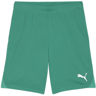 Šortky Puma teamGOAL Shorts Zelené | 705752-05, 0