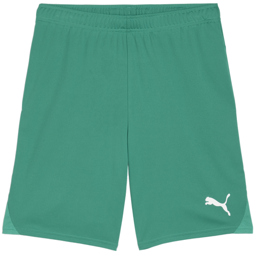 Šortky Puma teamGOAL Shorts Zelené | 705752-05