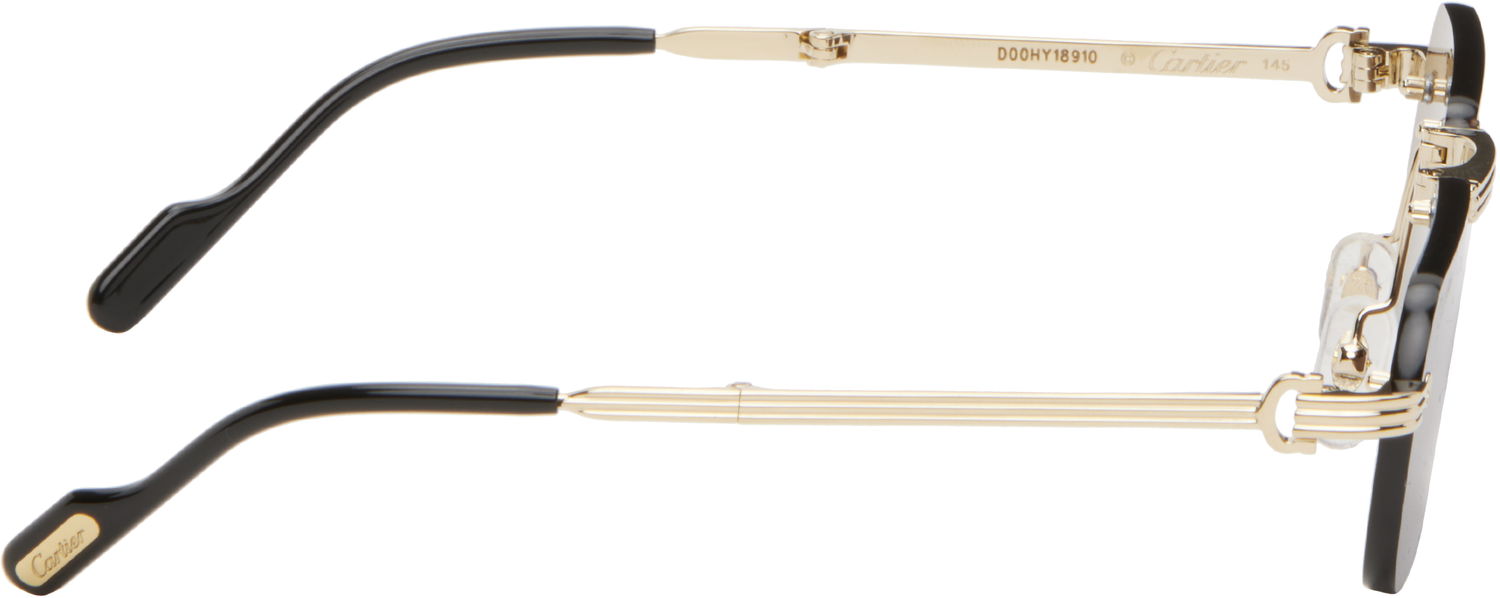 Slnečné okuliare Cartier Cartier 'Première de Cartier' Sunglasses Hnedá | CT0499S-001, 1