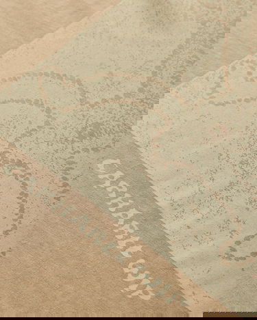 Tričko Carhartt WIP Terrestrial Graphic Longsleeve T-Shirt Béžová | I035227 0TLPG, 4