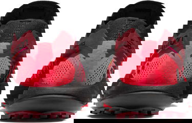 Tenisky a topánky Salomon Pulsar Trail Pro for Ciele Červená | l41717100, 4