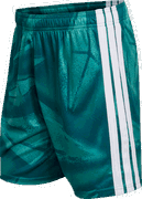 Germany Home Goalkeeper 2026 Patterned Shorts with Stripes