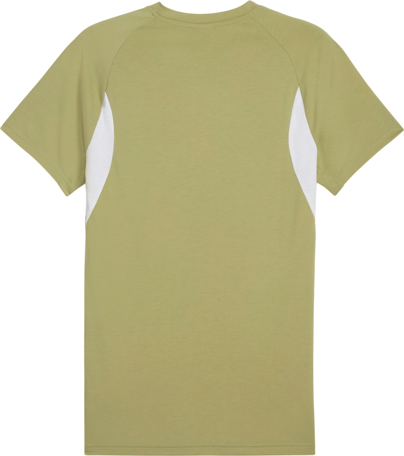 Tričko Puma Puma teamEVOSTRIPE T-Shirt Zelené | 659953-40, 1
