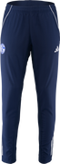 FC Schalke 04 Presentation Pants