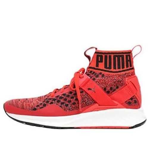 Tenisky a topánky Puma Ignite EvoKnit Červená | 189697-02, 0