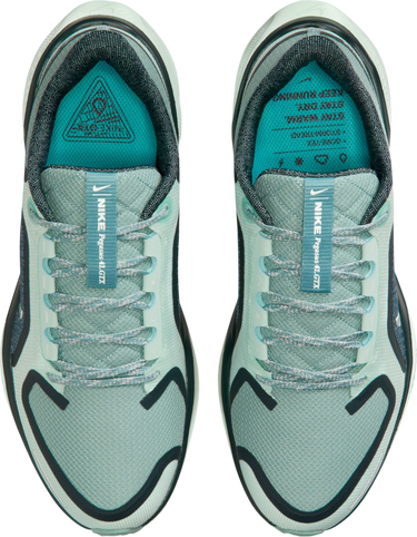 Tenisky a topánky Nike Pegasus 41 GORE-TEX Tyrkysová | fq1357-003, 2