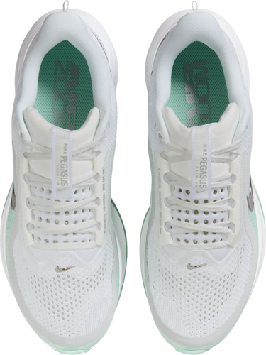 Tenisky a topánky Nike Pegasus Premium Biela | hq2593-103, 2
