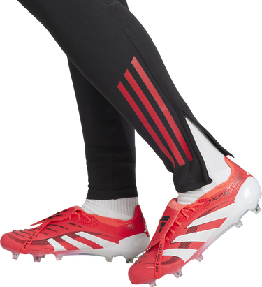Legíny adidas Originals Tiro 25 Training Pants Čierna | ji6497, 1