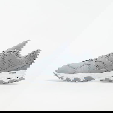 Tenisky a topánky Reebok DMX Trail Shadow Šedá | FZ4542, 0
