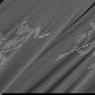 Tričko Arcteryx Cormac Logo Long Sleeve T-Shirt, Size X-Large Šedá | X000008452-021579, 3