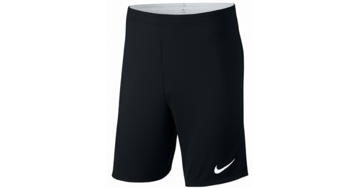 Dry Academy18 Shorts