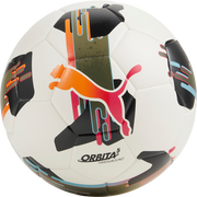 Puma Orbita 5 Hardground Training Soccer Ball