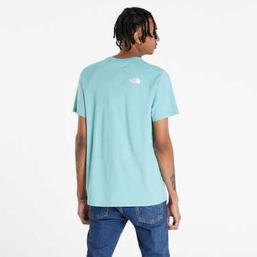 Tričko The North Face Short Sleeve Raglan Redbox Tee Zelené | NF0A3BQO6R71, 1