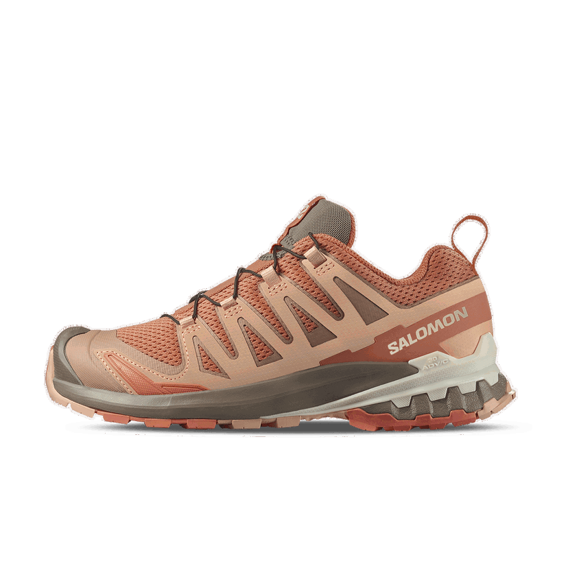 Tenisky a topánky Salomon XA PRO 3D V9 Hnedá | L47468200
