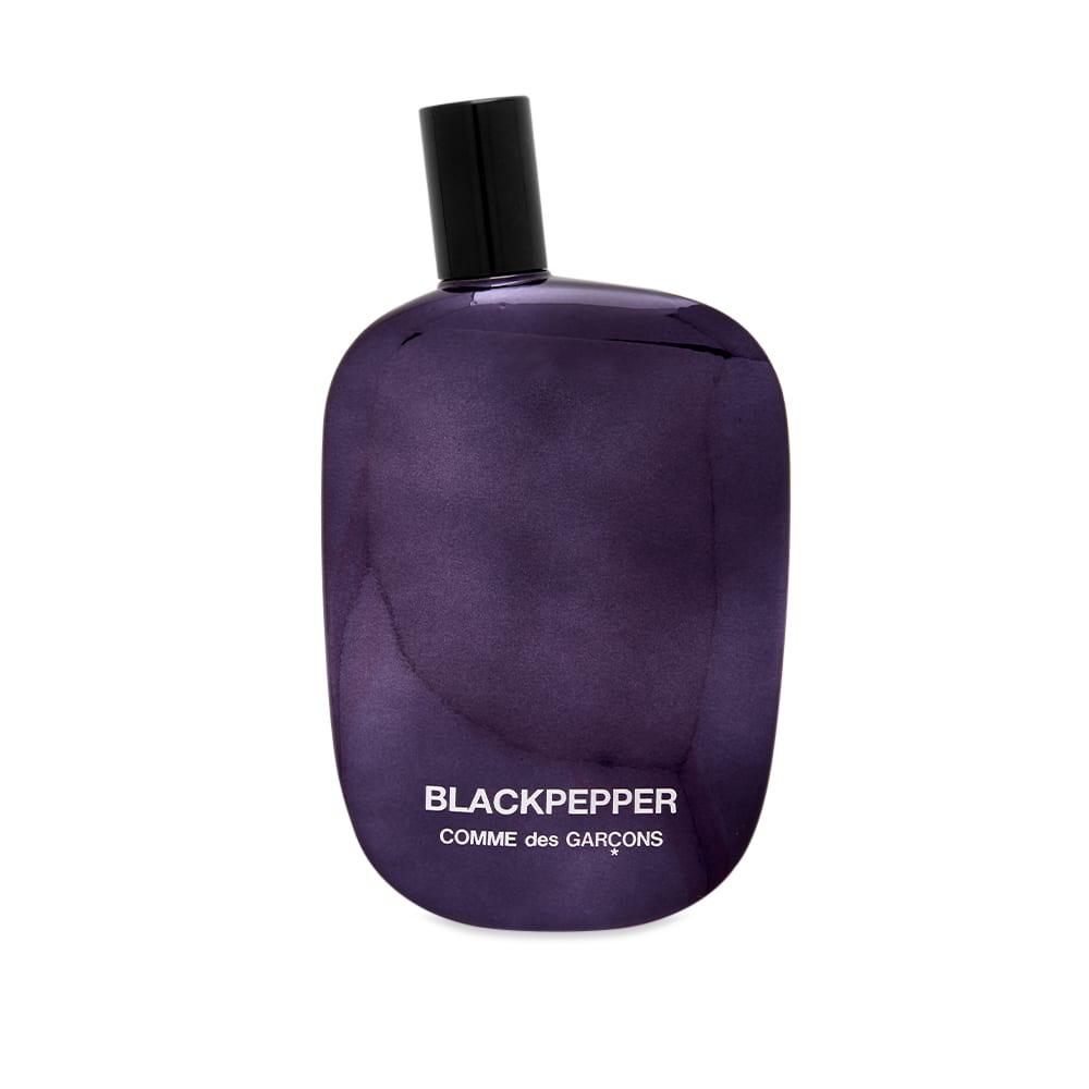 Parfémy a vône Comme des Garçons Parfum Black Pepper in 100ml Fialová | CDG-PBP100, 0