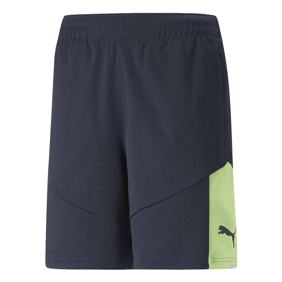 Šortky Puma INDIVIDUALRISE Shorts Rôznofarebný | 657538-47, 0