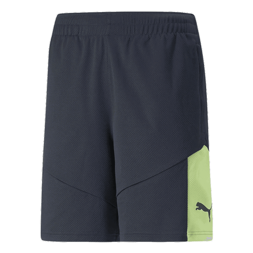 Šortky Puma INDIVIDUALRISE Shorts Rôznofarebný | 657538-47