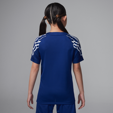 Dres Jordan Jordan Dri-FIT Paris Saint-Germain Stadium 2024/25 Fourth Replica Jersey Modrá | HJ0921-493, 3