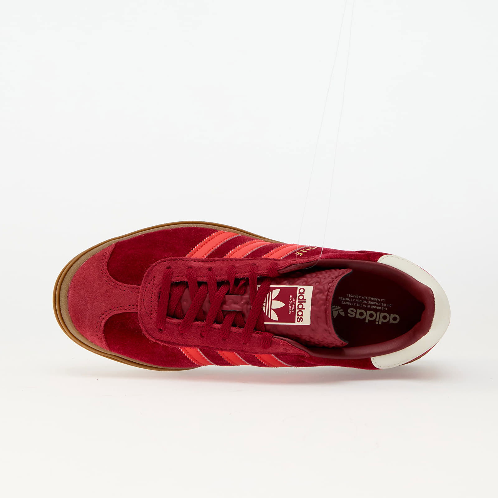 GAZELLE BOLD W