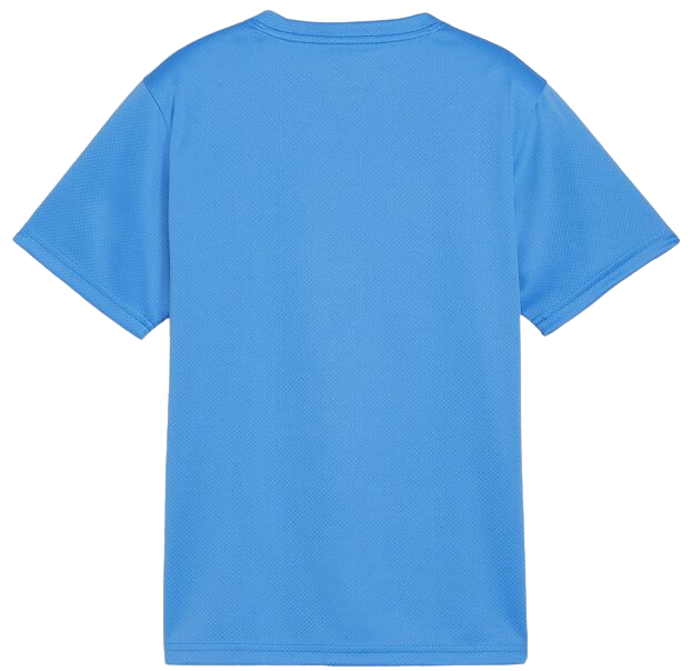 Tričko Puma teamGOAL T-Shirt Tyrkysová | 658636-02, 1