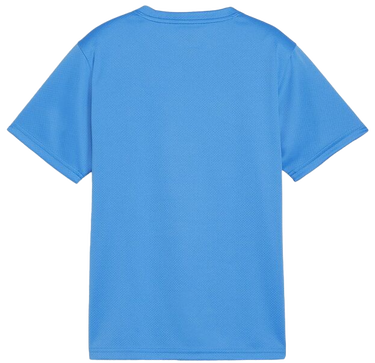 Tričko Puma teamGOAL T-Shirt Tyrkysová | 658636-02, 1