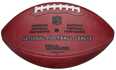 Športový doplnok Wilson Tennis NFL Duke Football Match Ball Hnedá | wtf1100idbrs-wtf1100idbrs, 1