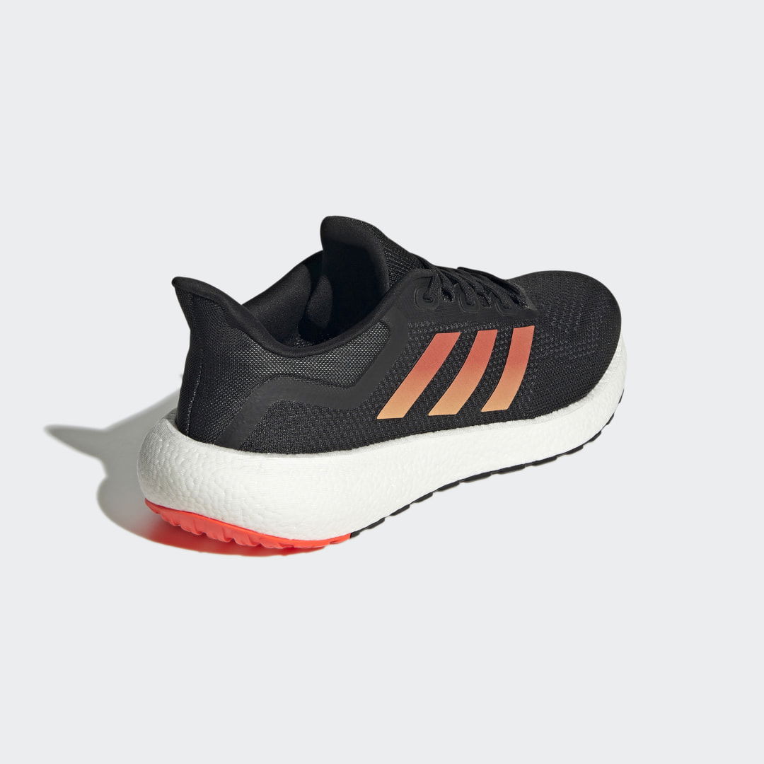 Pureboost 22