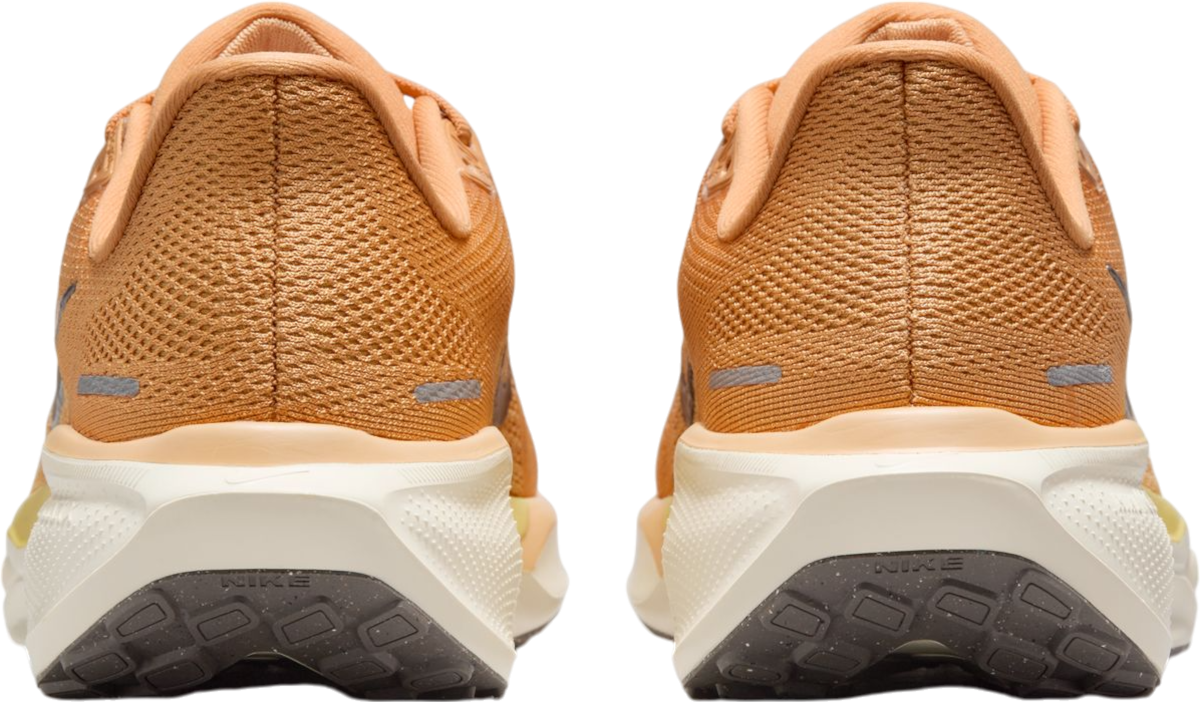 Tenisky a topánky Nike Pegasus 41 Oranžová | fd2723-800, 1