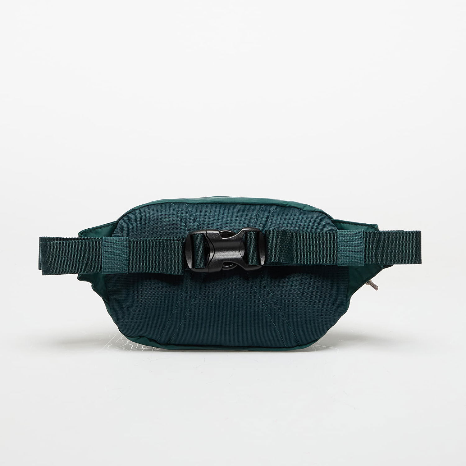 Ľadvinka Patagonia Patagonia Terravia Mini Hip Pack Zelené | 49448 CASG, 1