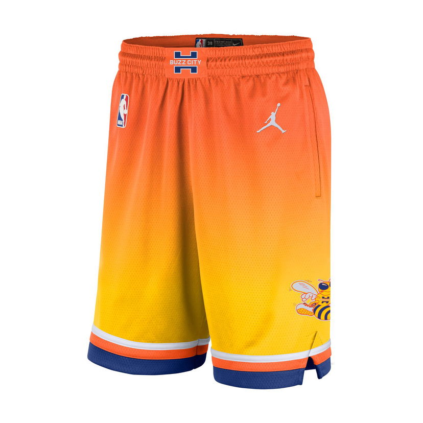 Šortky Nike Charlotte Hornets Dri-FIT Swingman Shorts Rôznofarebný | HM6030-820