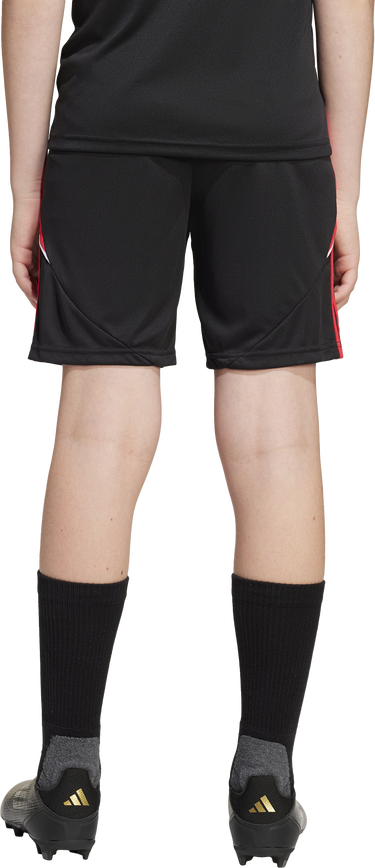 Šortky adidas Originals adidas TIRO24 TRSHOY Shorts Čierna | jn4567, 2